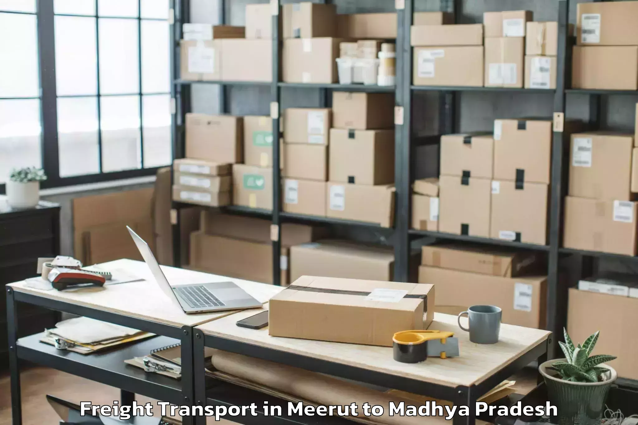 Top Meerut to Sage University Indore Freight Transport Available